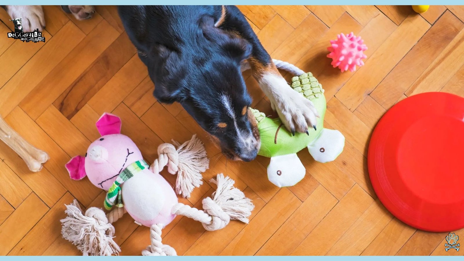 How to Teach Your Dog to Clean Up Toys