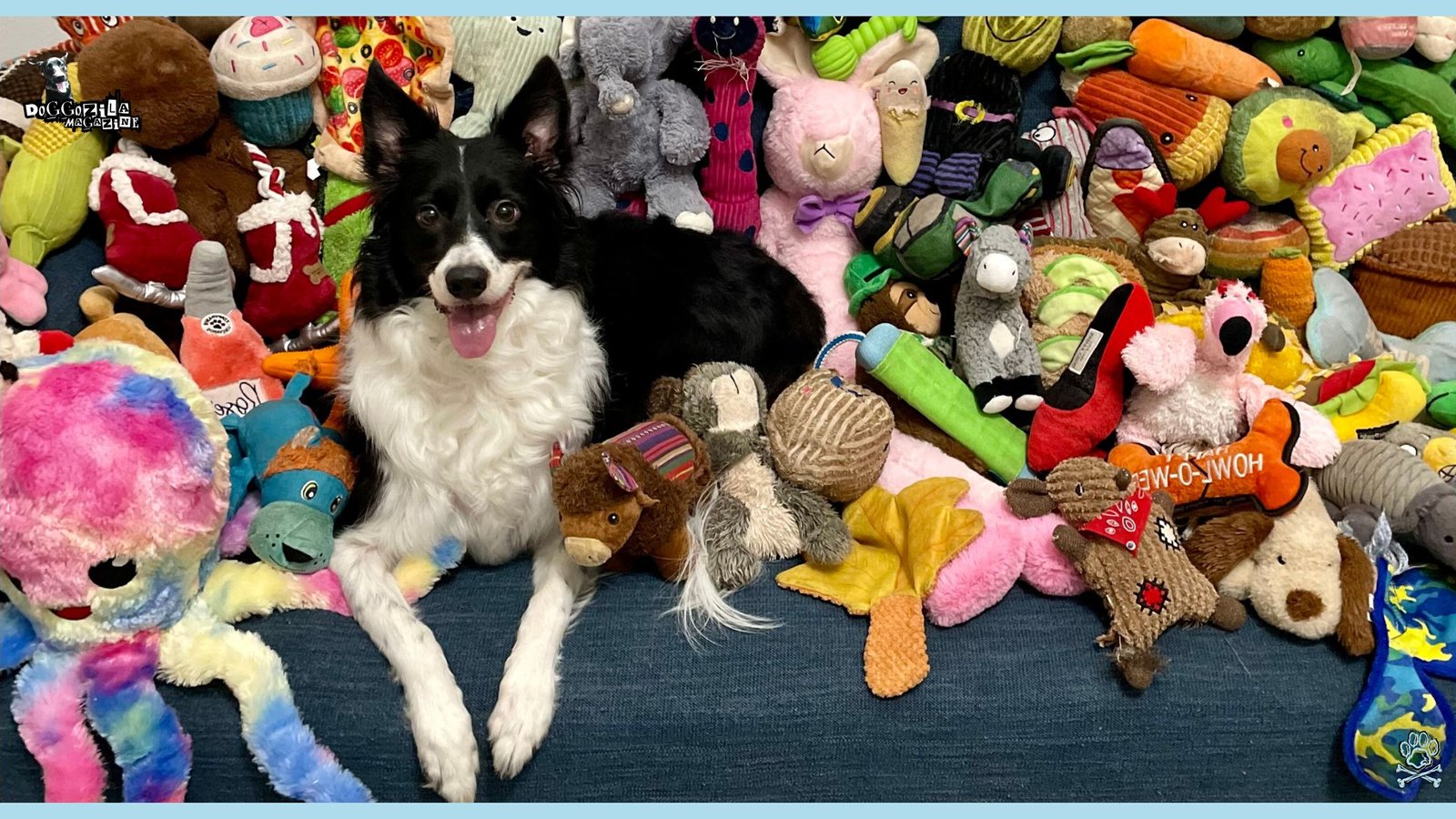 cute pup play with his toys