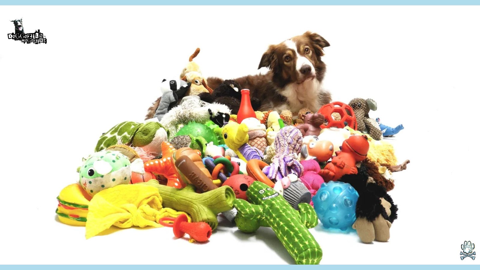 How to Teach Your Dog to Clean Up Toys