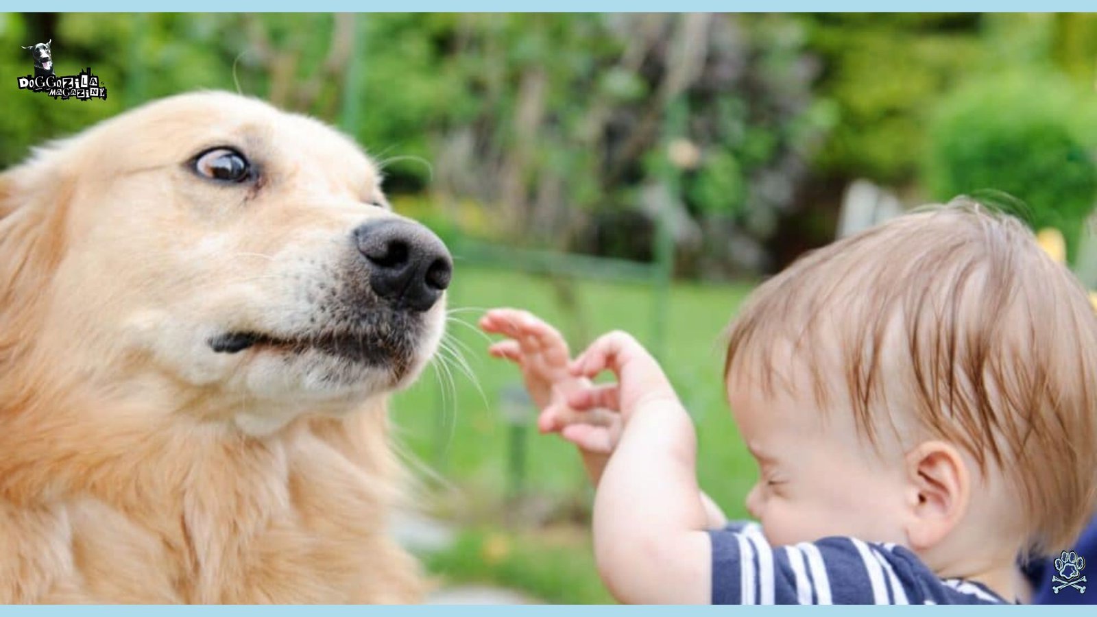 little children scared by a golden retriever