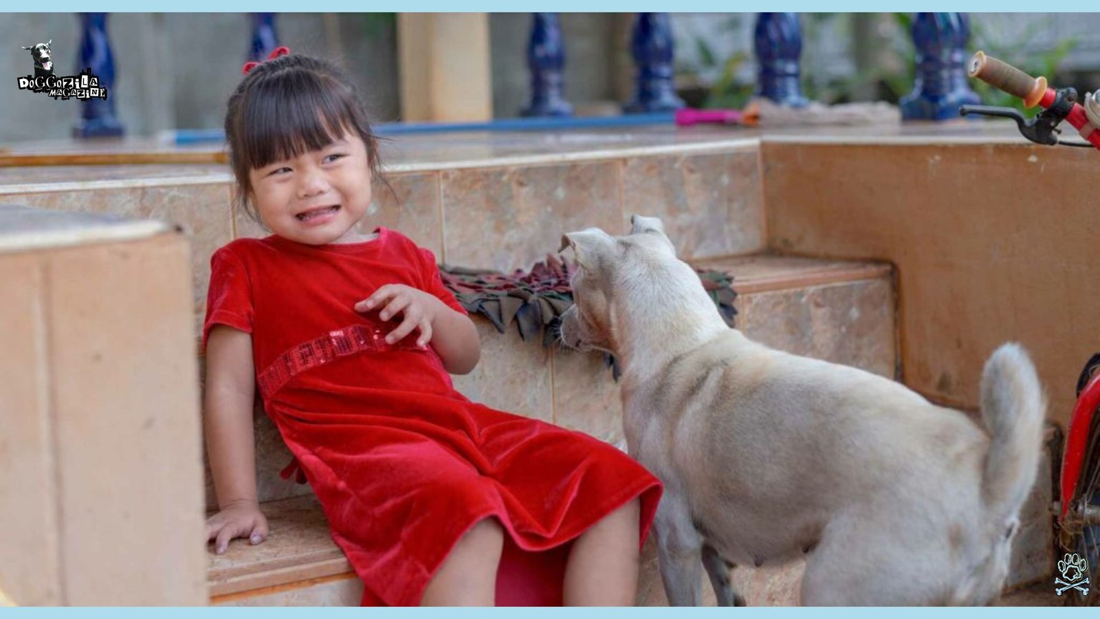 little Asian girl scared from little puppy