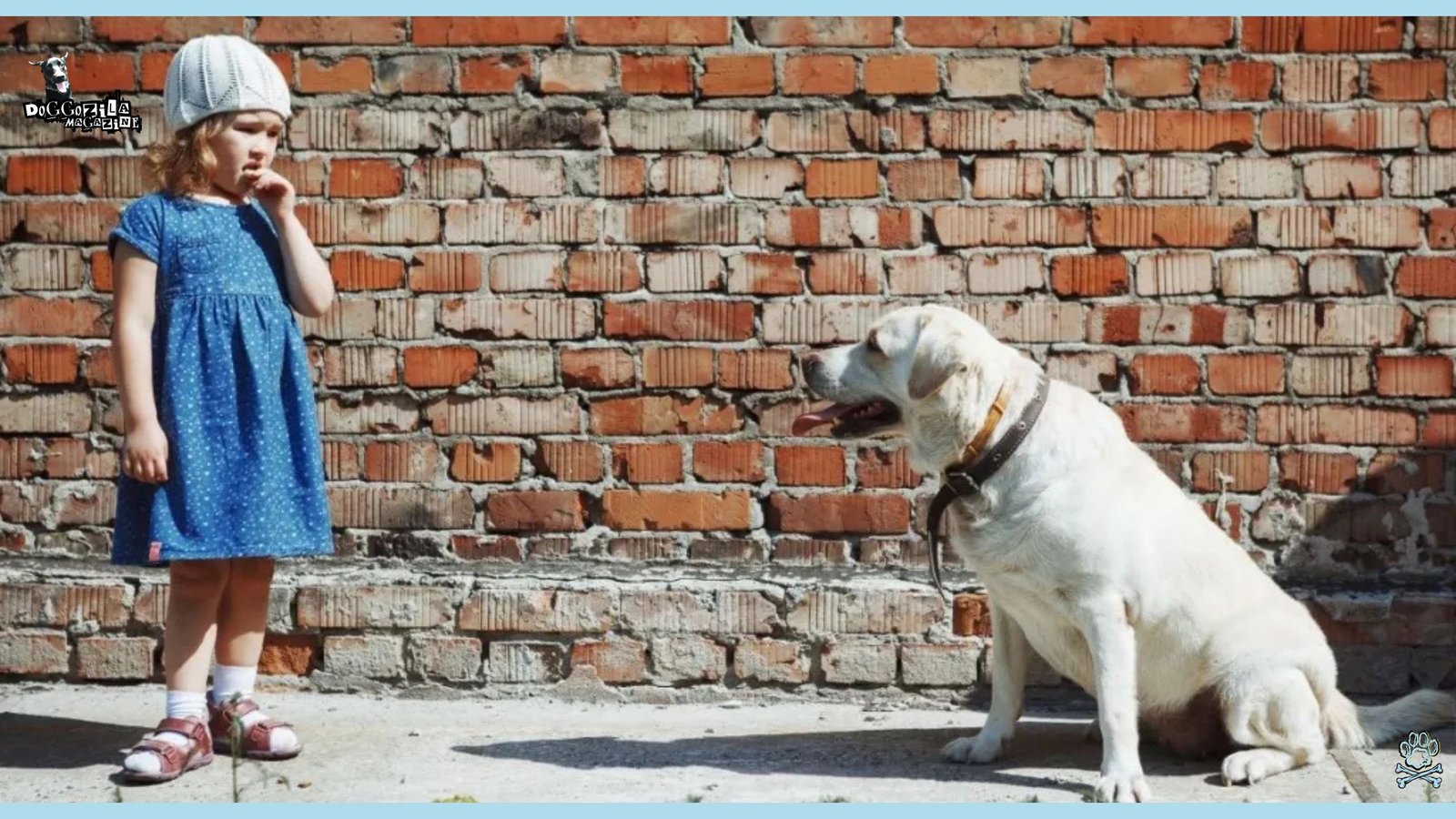 Why Do Dogs Often Approach People Who Are Afraid of Them