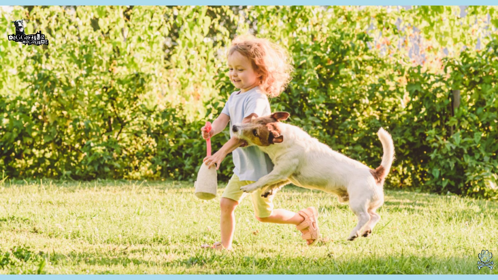 Why Do Dogs Often Approach People Who Are Afraid of Them