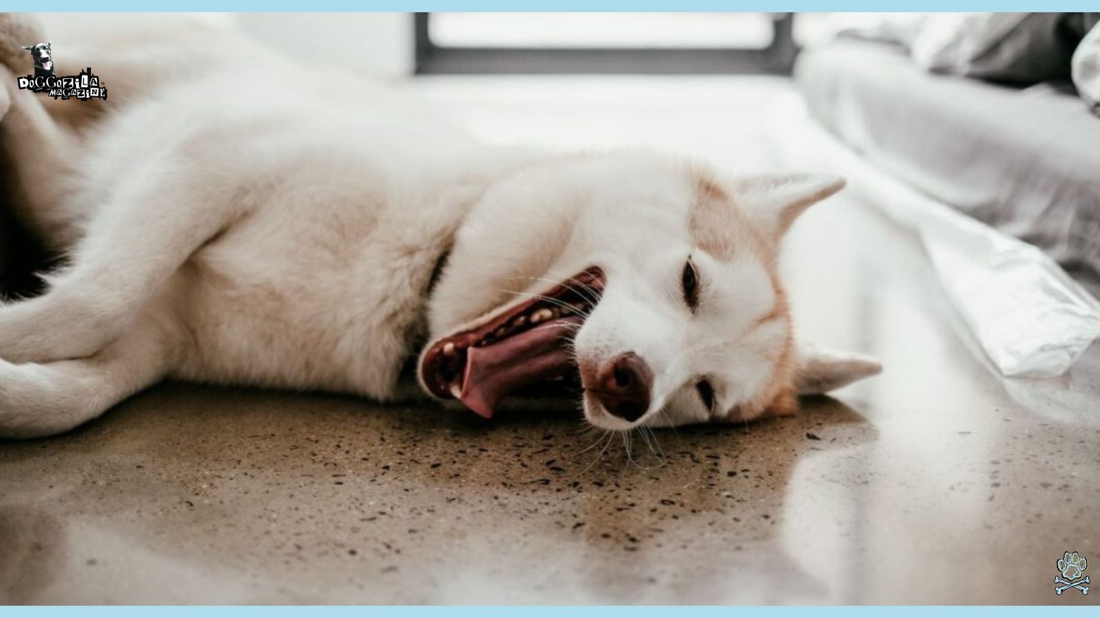 cute husky smiling
