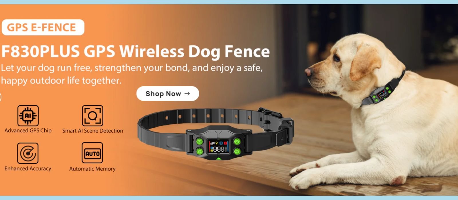 GPS WIRELESS DOG FENCE - RADAR E-FENCE at doggozila dog shop