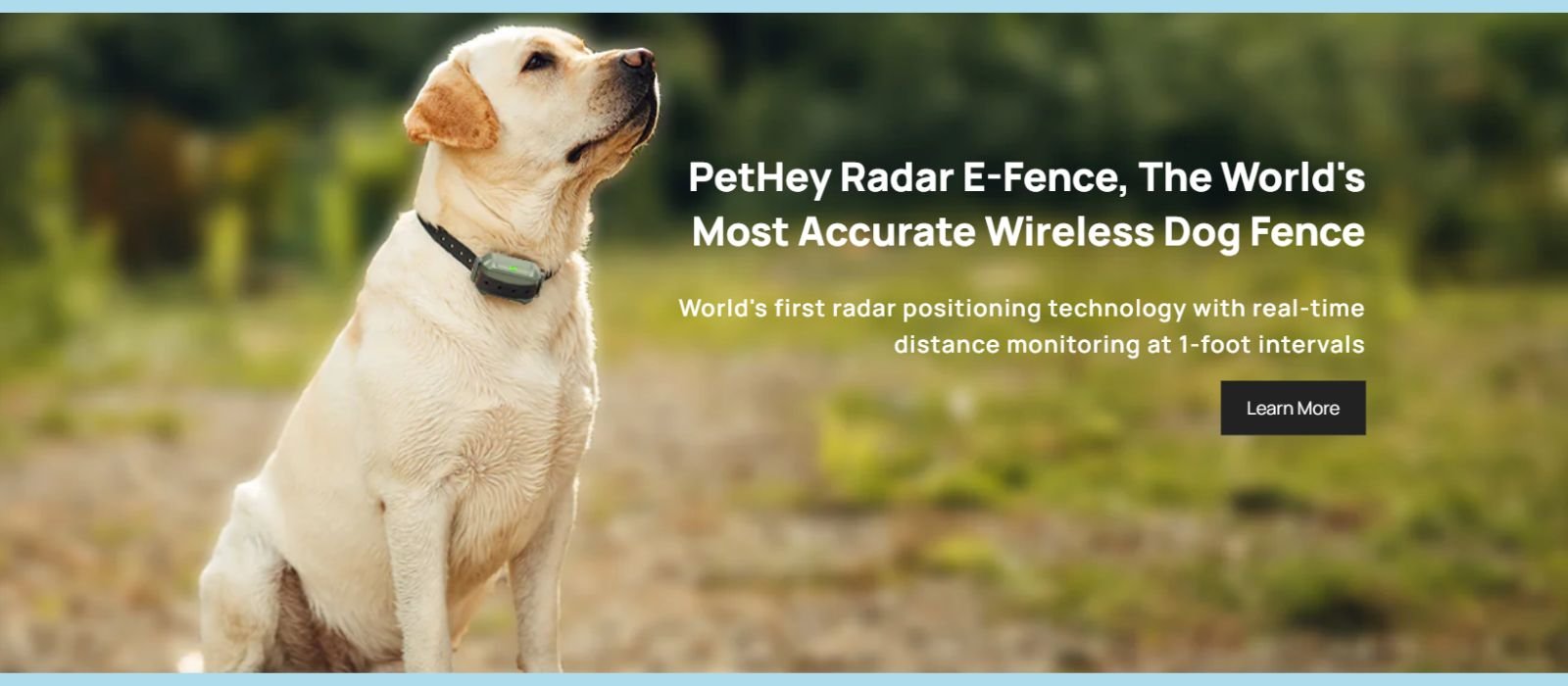 GPS WIRELESS DOG FENCE - RADAR E-FENCE at doggozila dog shop