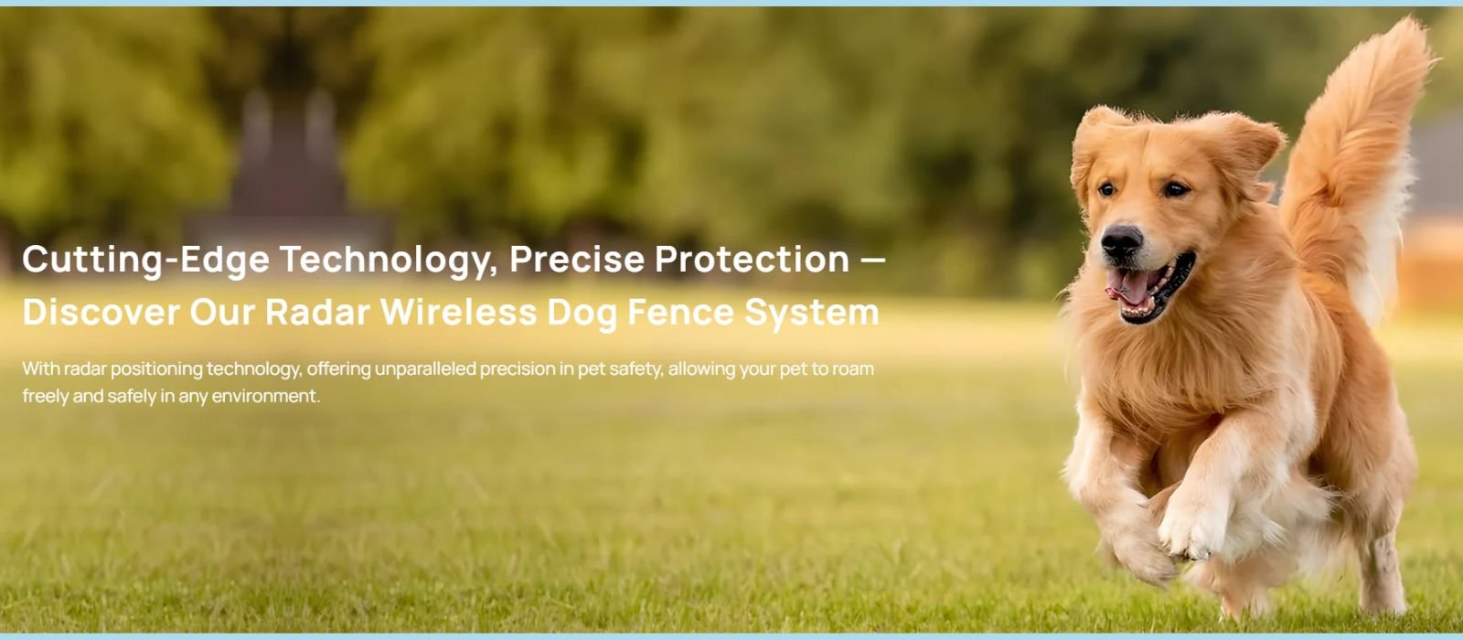 GPS WIRELESS DOG FENCE - RADAR E-FENCE at doggozila dog shop