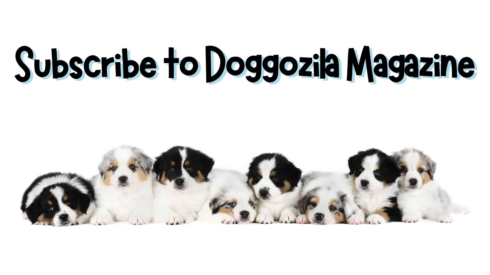 subscribe to doggozila magazine