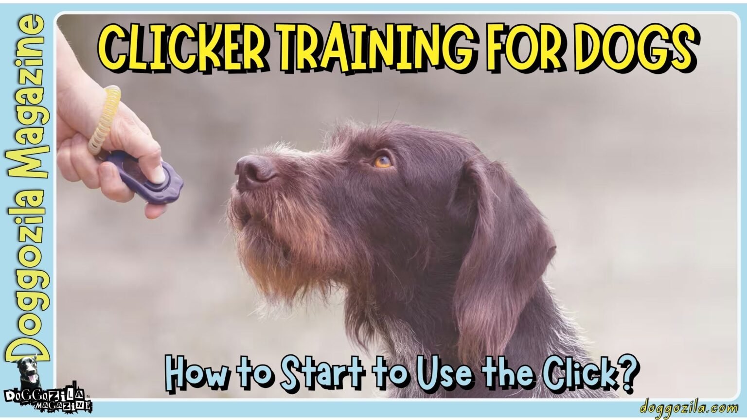 How to use the Clicker Training for Dogs