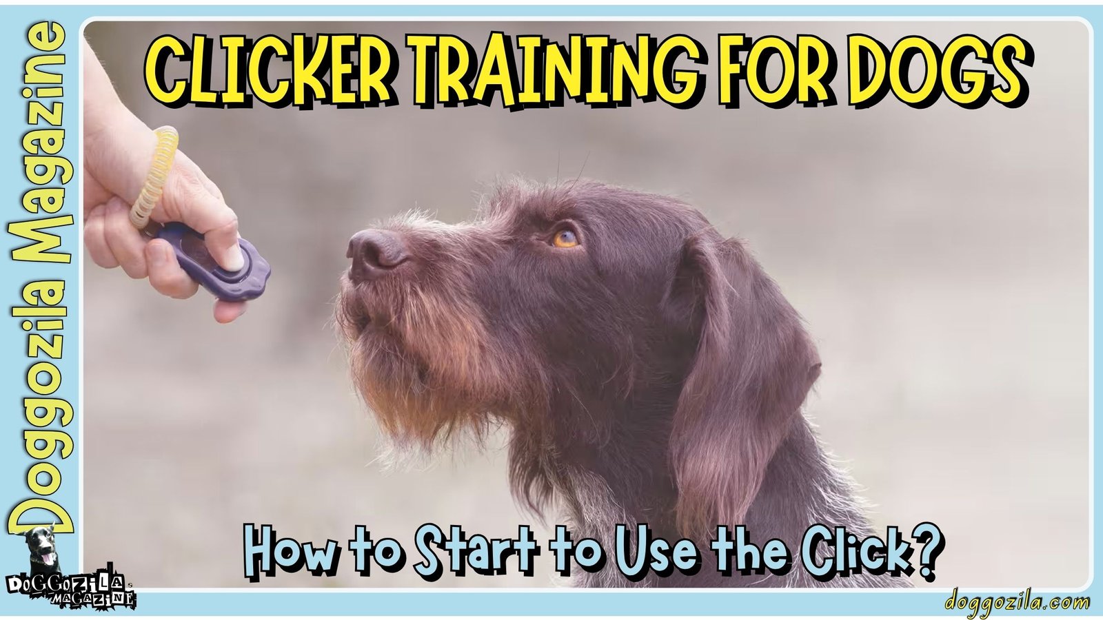 Clicker Training for Dogs: How to Start to Use the Click?