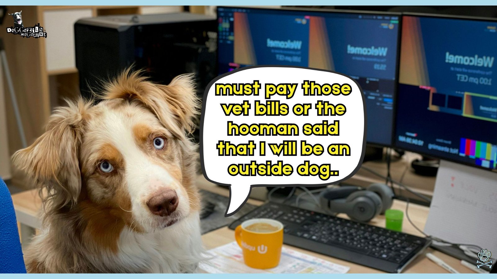 Why Emotional Intelligence in Dogs is important