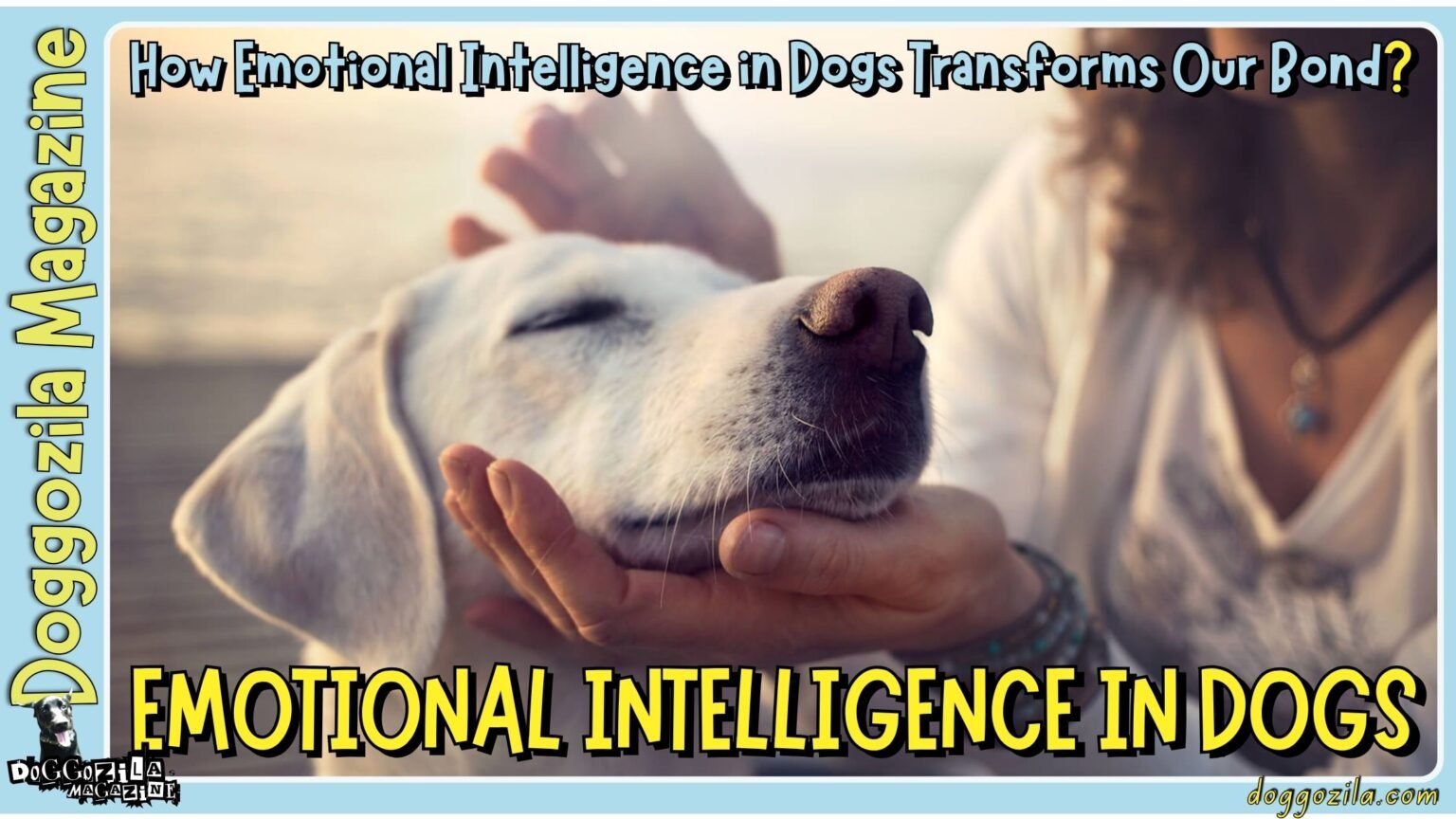 Learn About Emotional Intelligence in Dogs from the best online dog magazine