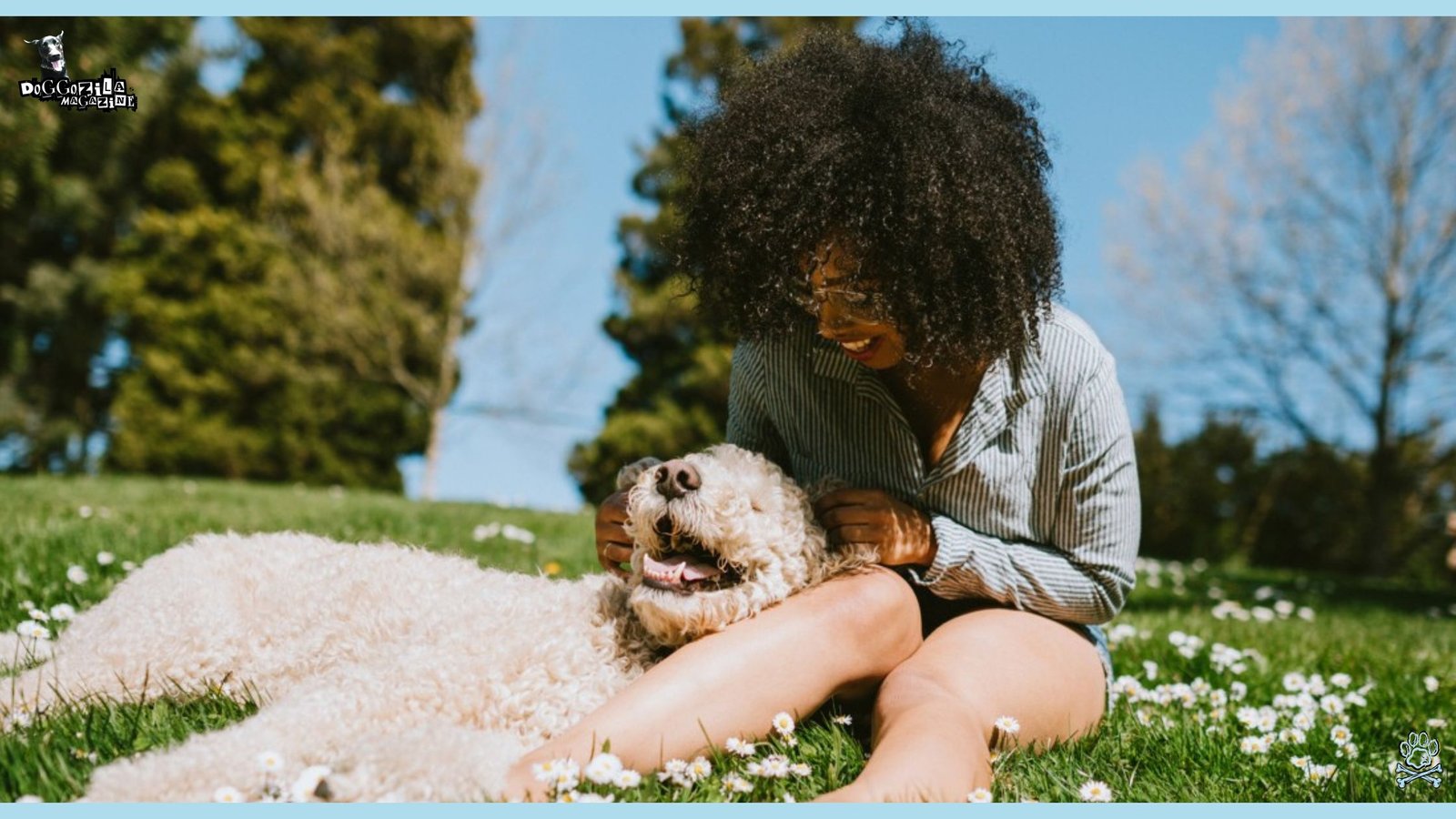 girl and her dog are enjoying on the green grass in the park