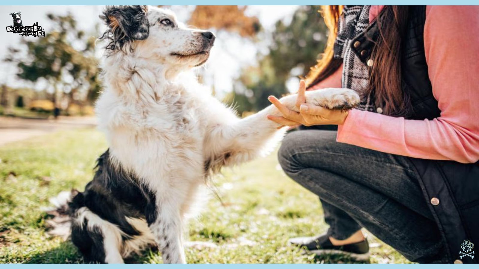 Cute puppy giving his paw to his owner and showing the Emotional Intelligence in Dogs
