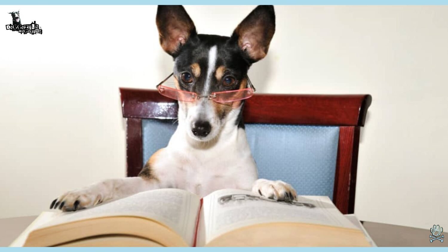 Curated visual reference: Gallery Detail: Emotional Intelligence In Dogs The Silent Pup Abilities Doggozila