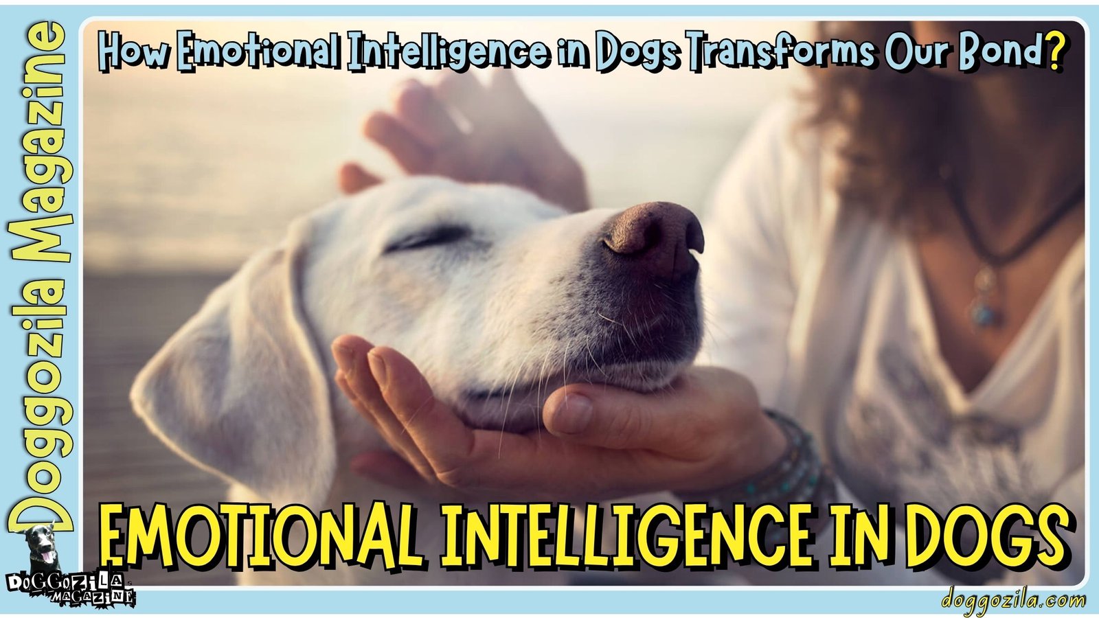 Emotional Intelligence in Dogs: The Silent Pup Abilities