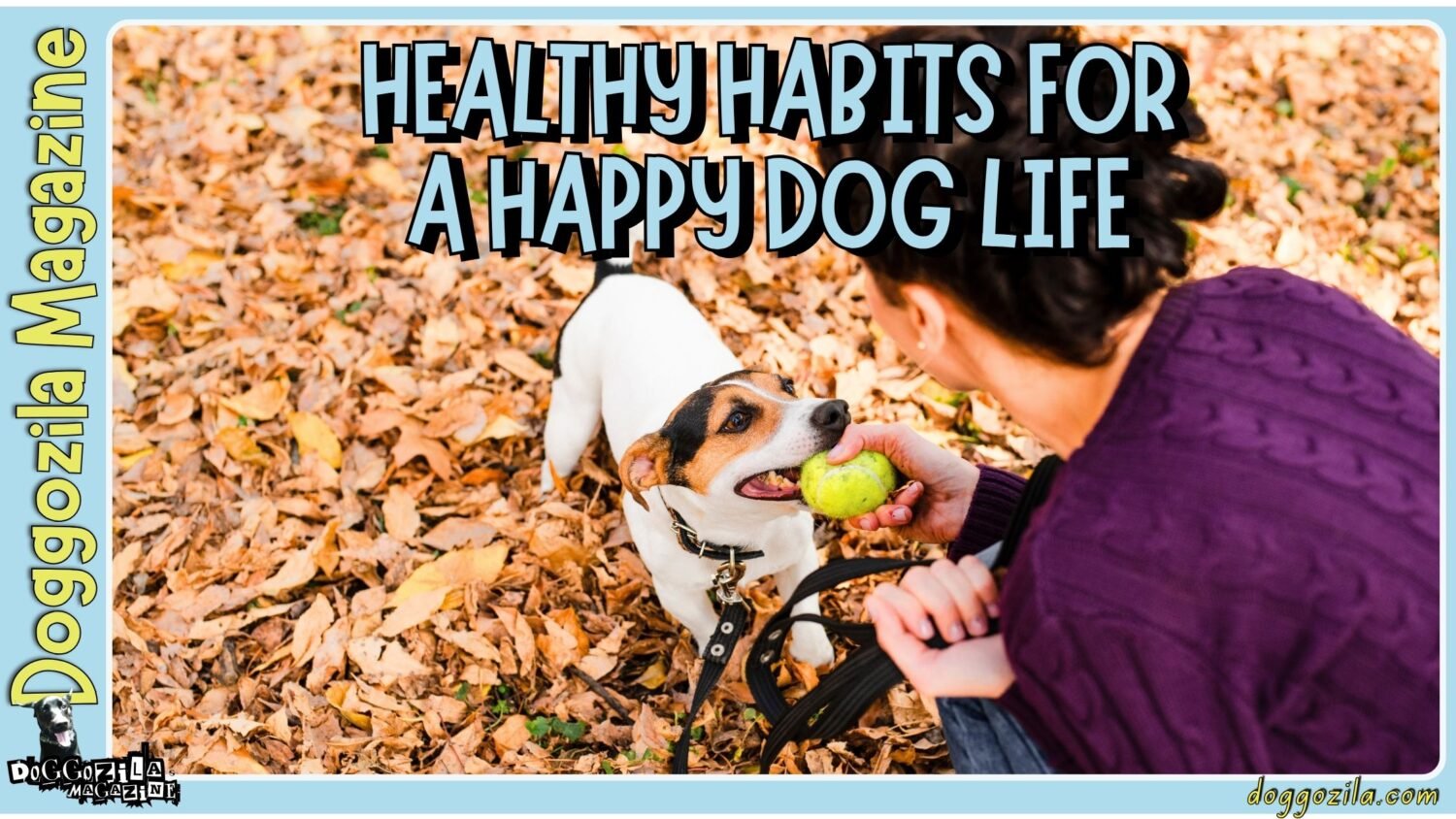 Healthy Habits for a Happy Dog Life