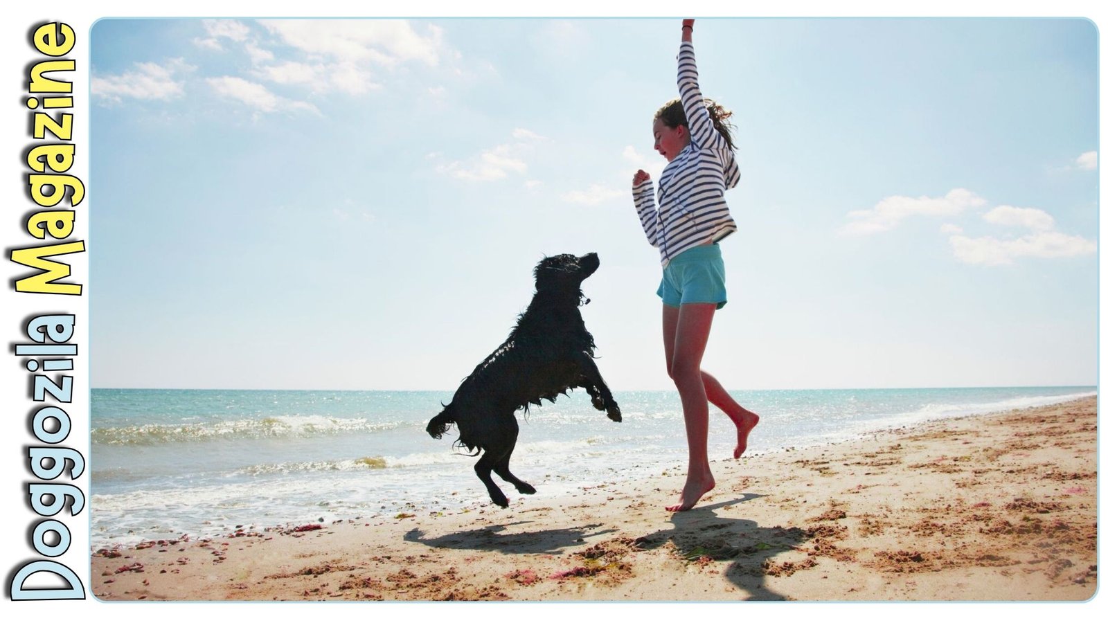 Healthy Habits for a Happy Dog Life