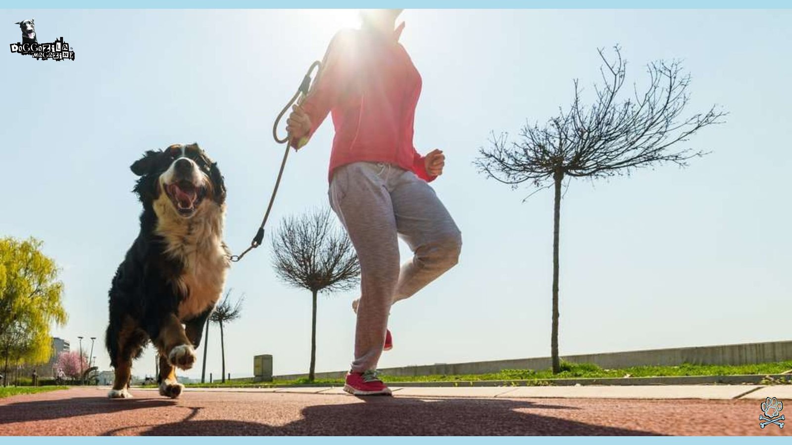 dog is running outside with his owner