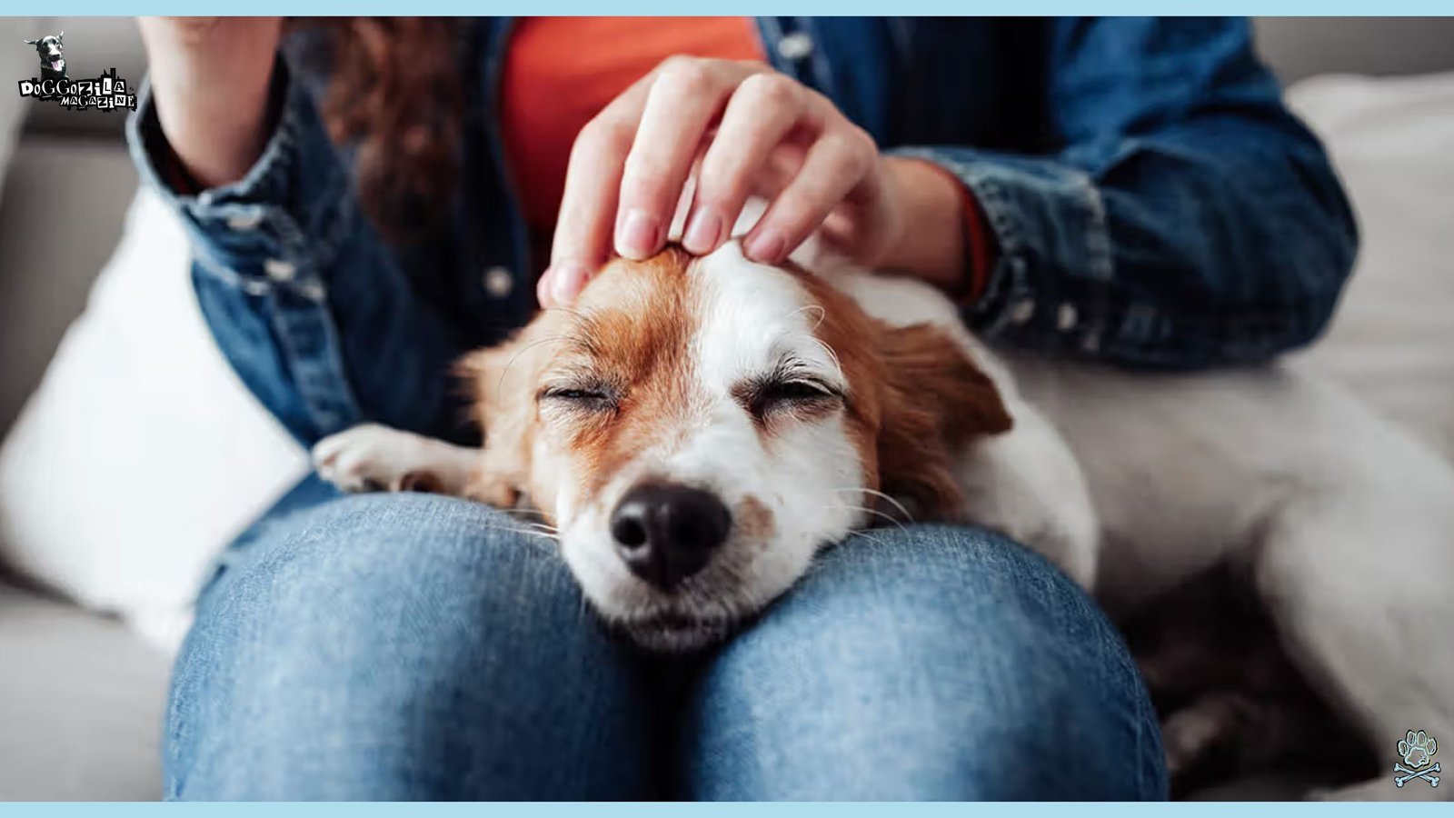 owner is petting his puppy on the head