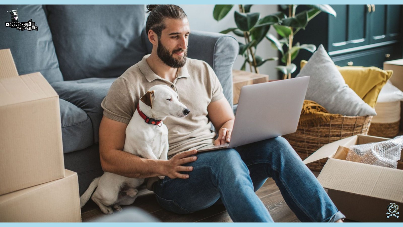 puppy is looking in the laptop while his owner is working