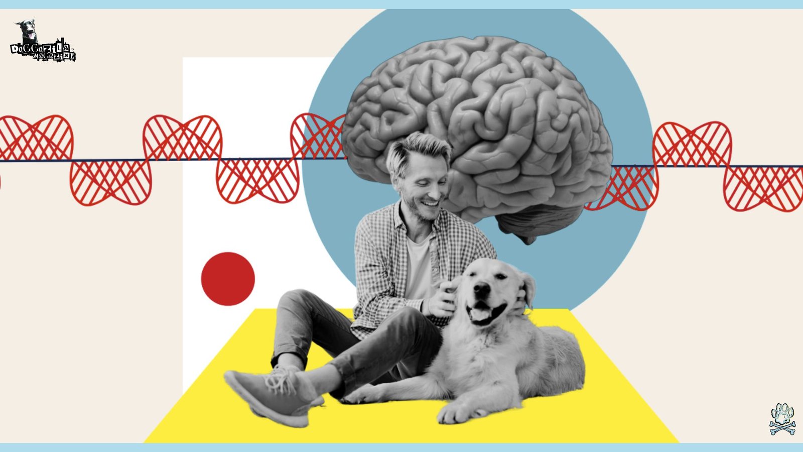 How Do Dogs Affect The Human Brain