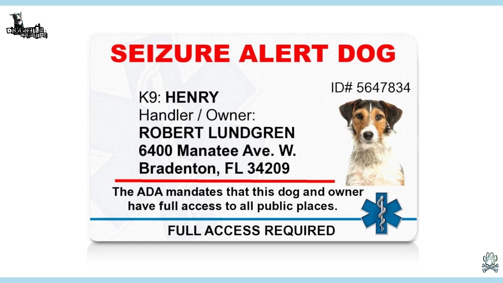How Do Dogs Detect Seizures and Transform Lives