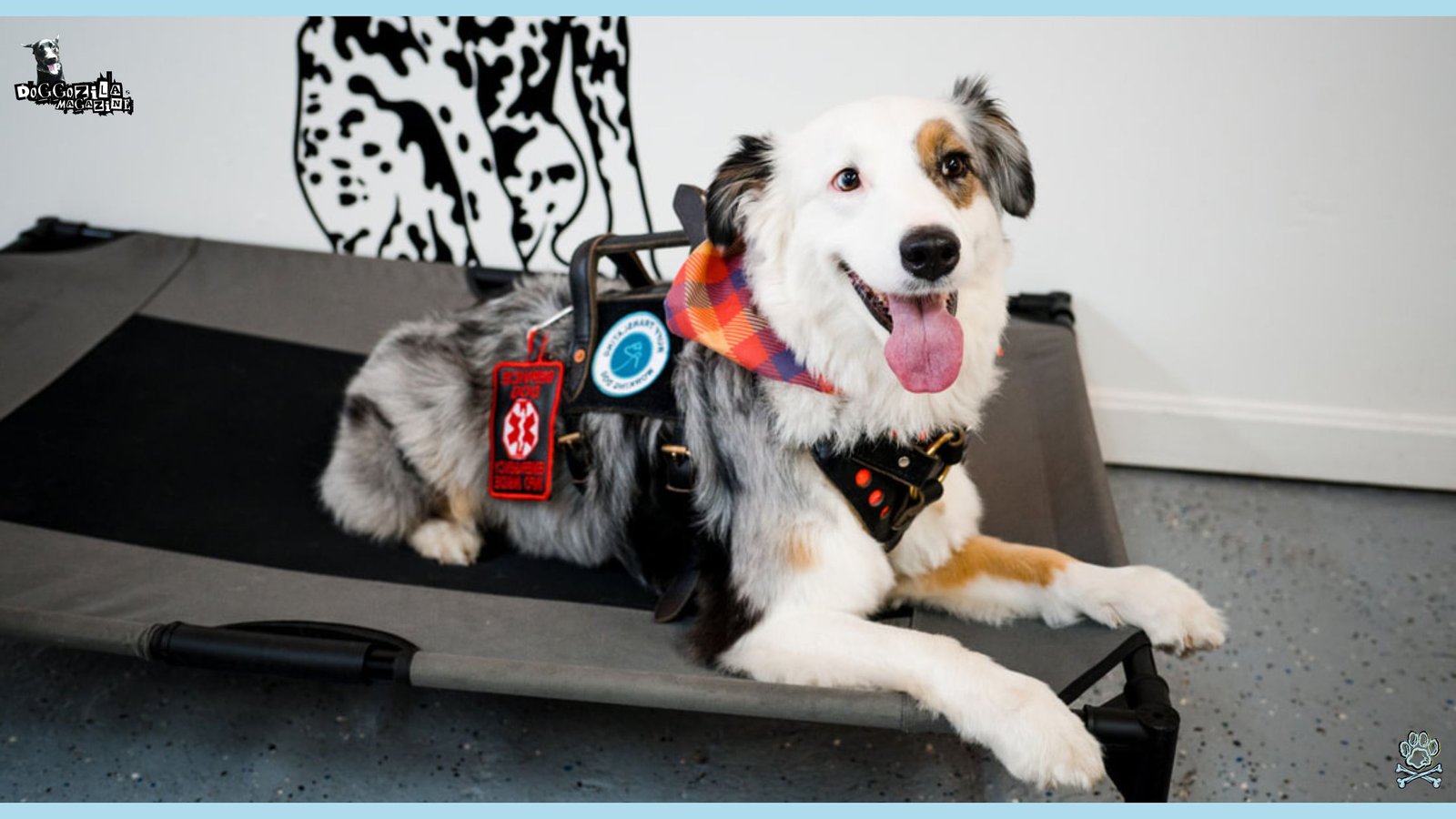 the happiest service dog