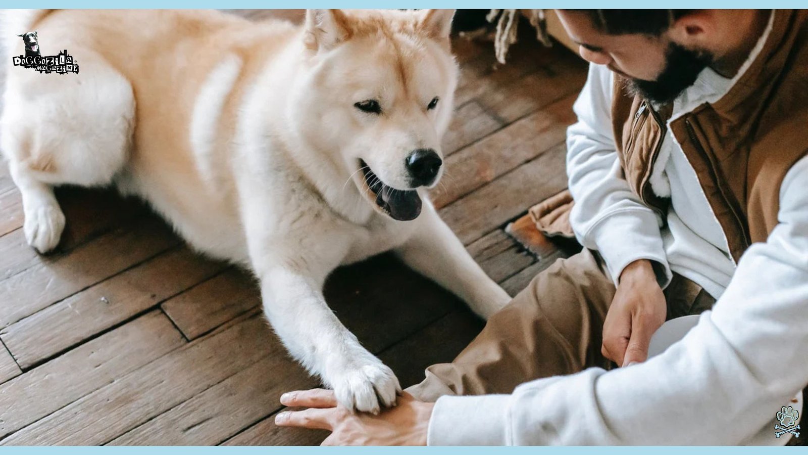 How to train a deaf dog