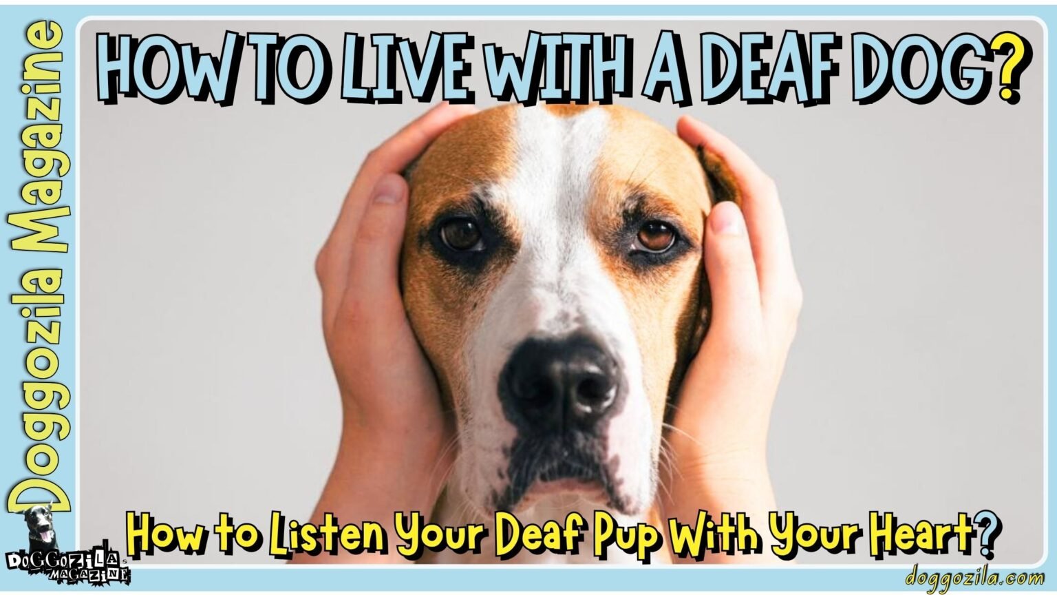 How To Live with A Deaf Dog