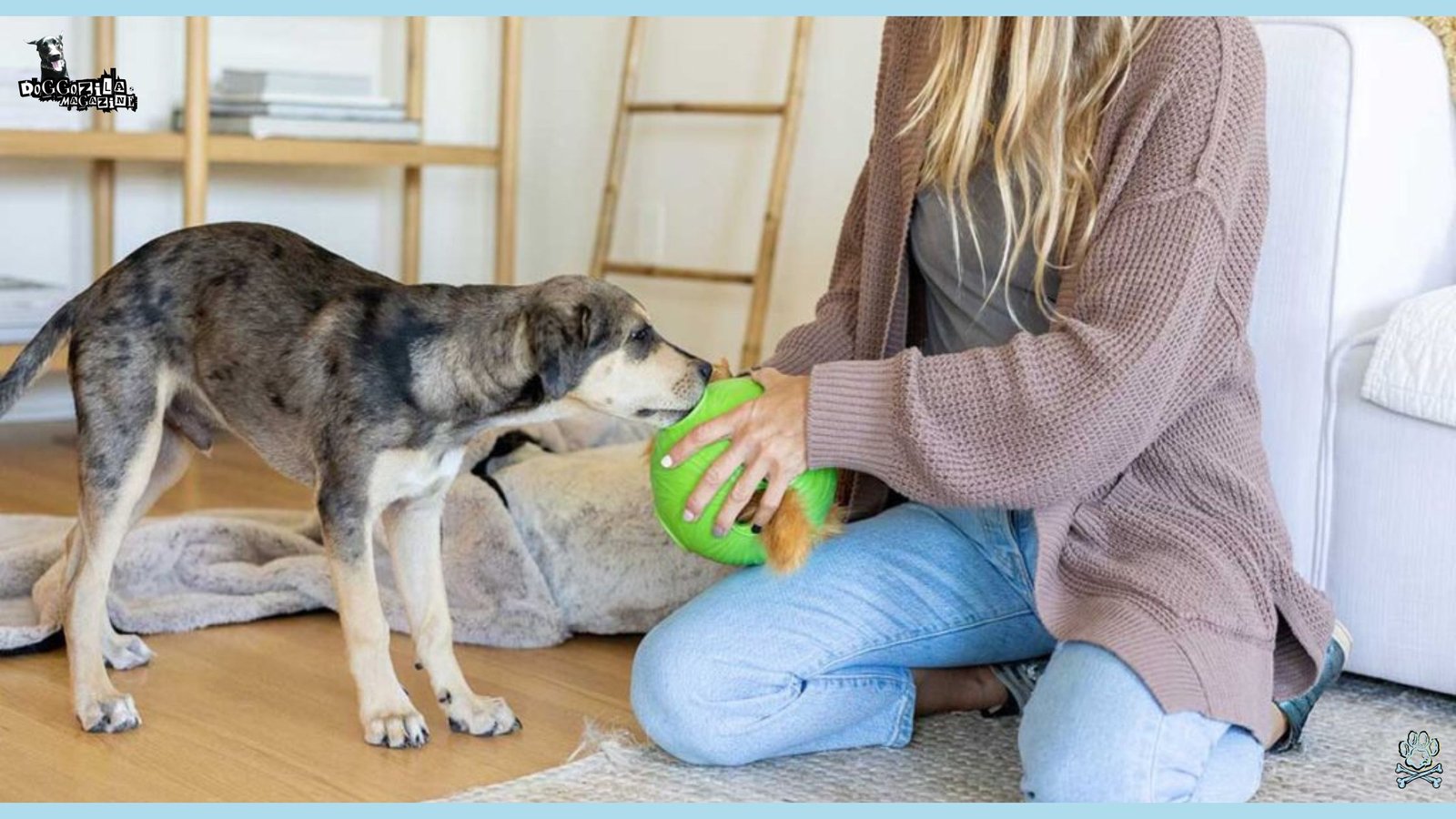 Teach Your Dog The Release Command