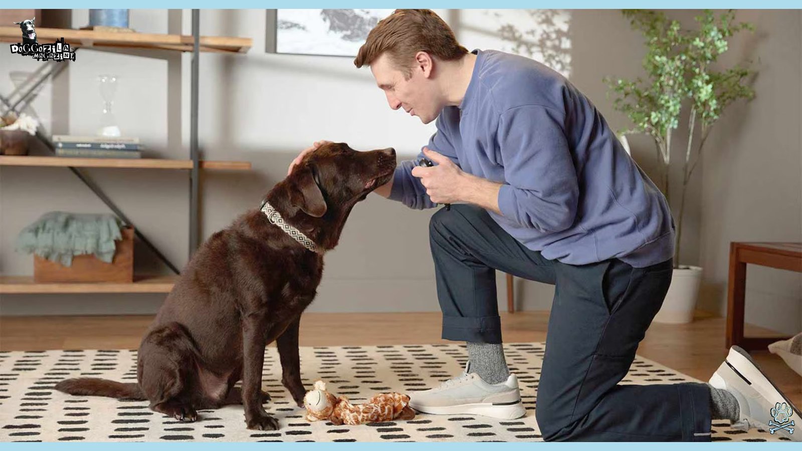 Teach Your Dog The Release Command