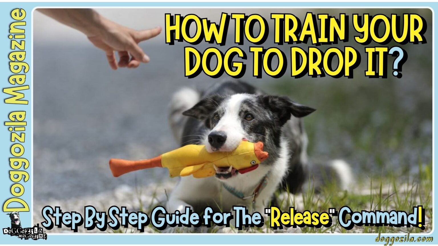 Epic dog adventure about How To Train Your Dog To Drop It
