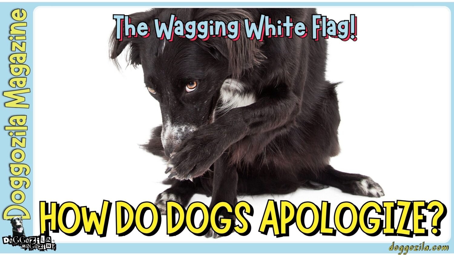 Did you know How do Dogs Apologize