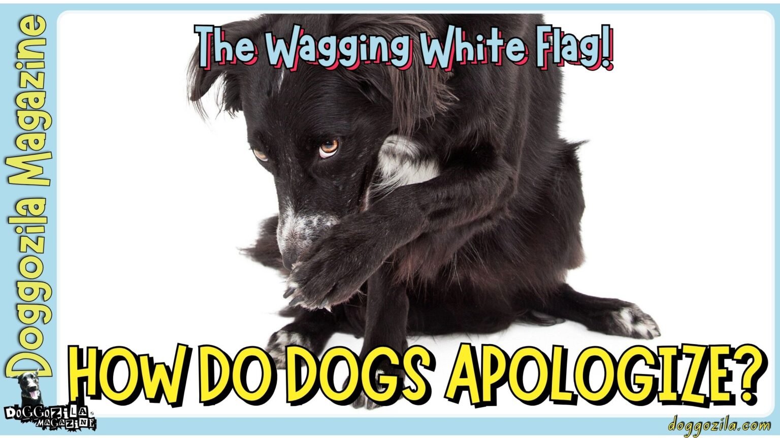 Did you know How do Dogs Apologize
