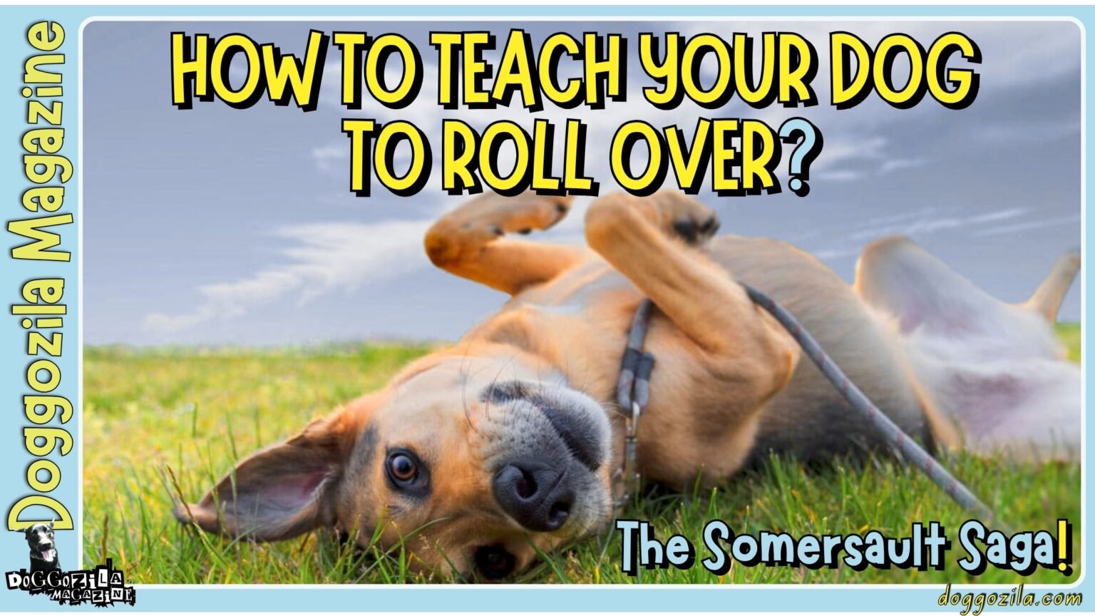 How to Teach Your Dog to Roll Over