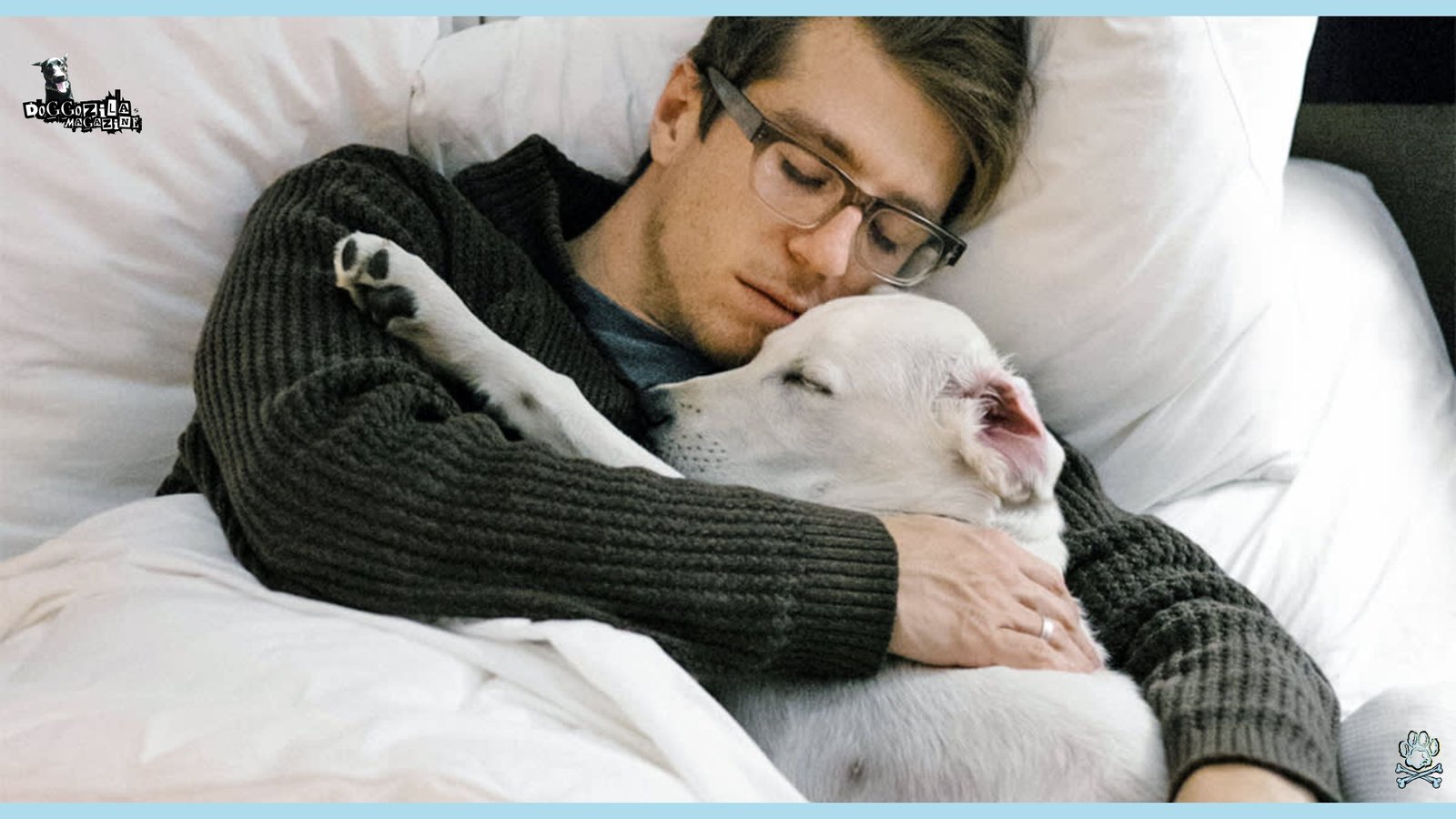 Asleep Velcro Dogs