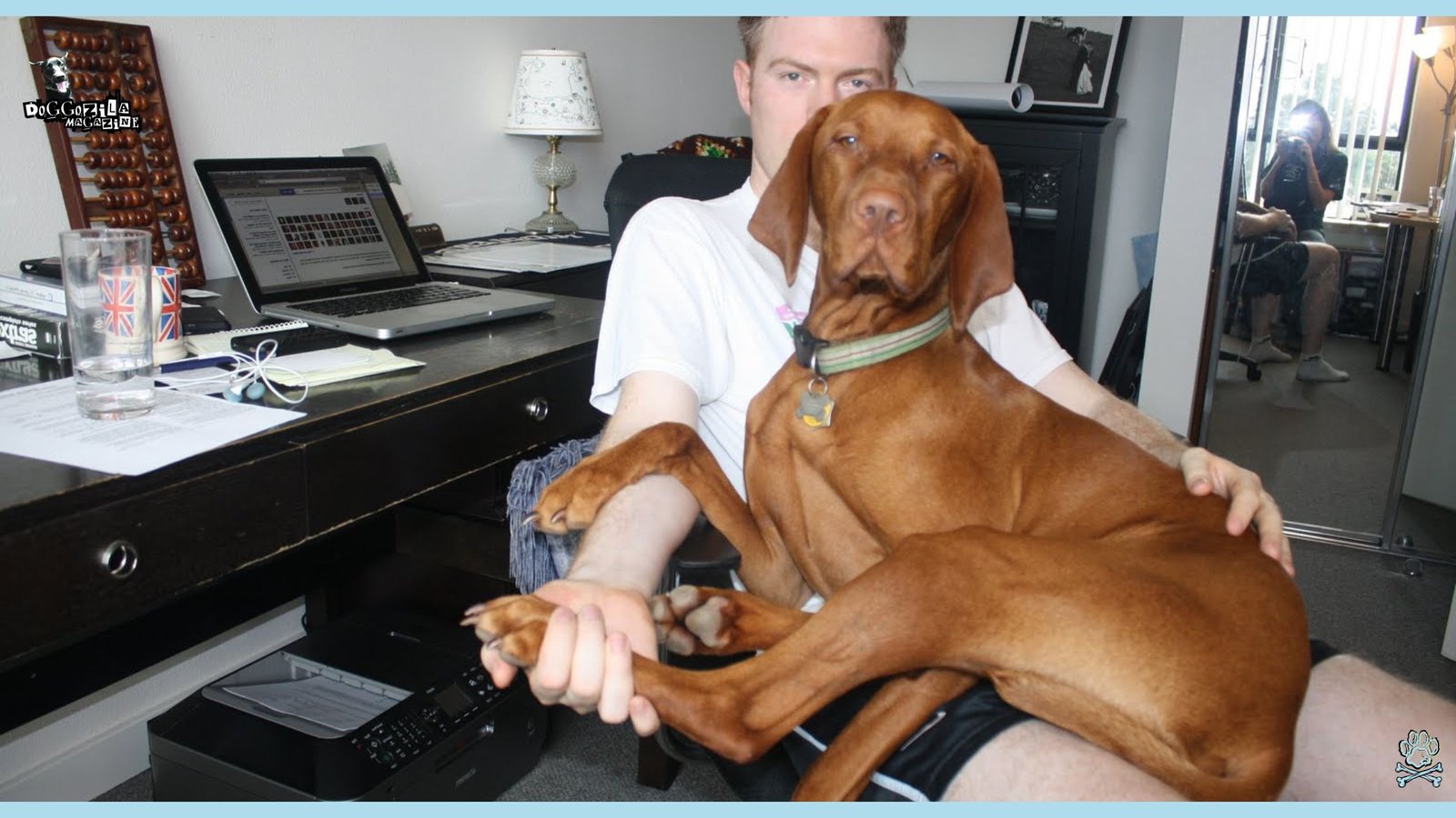 Why Is My Dog So Clingy