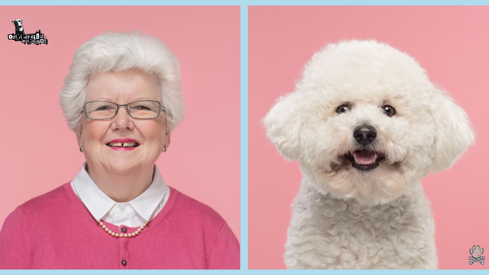 Scientific article explanation Why Do Dogs Imitate Their Owners