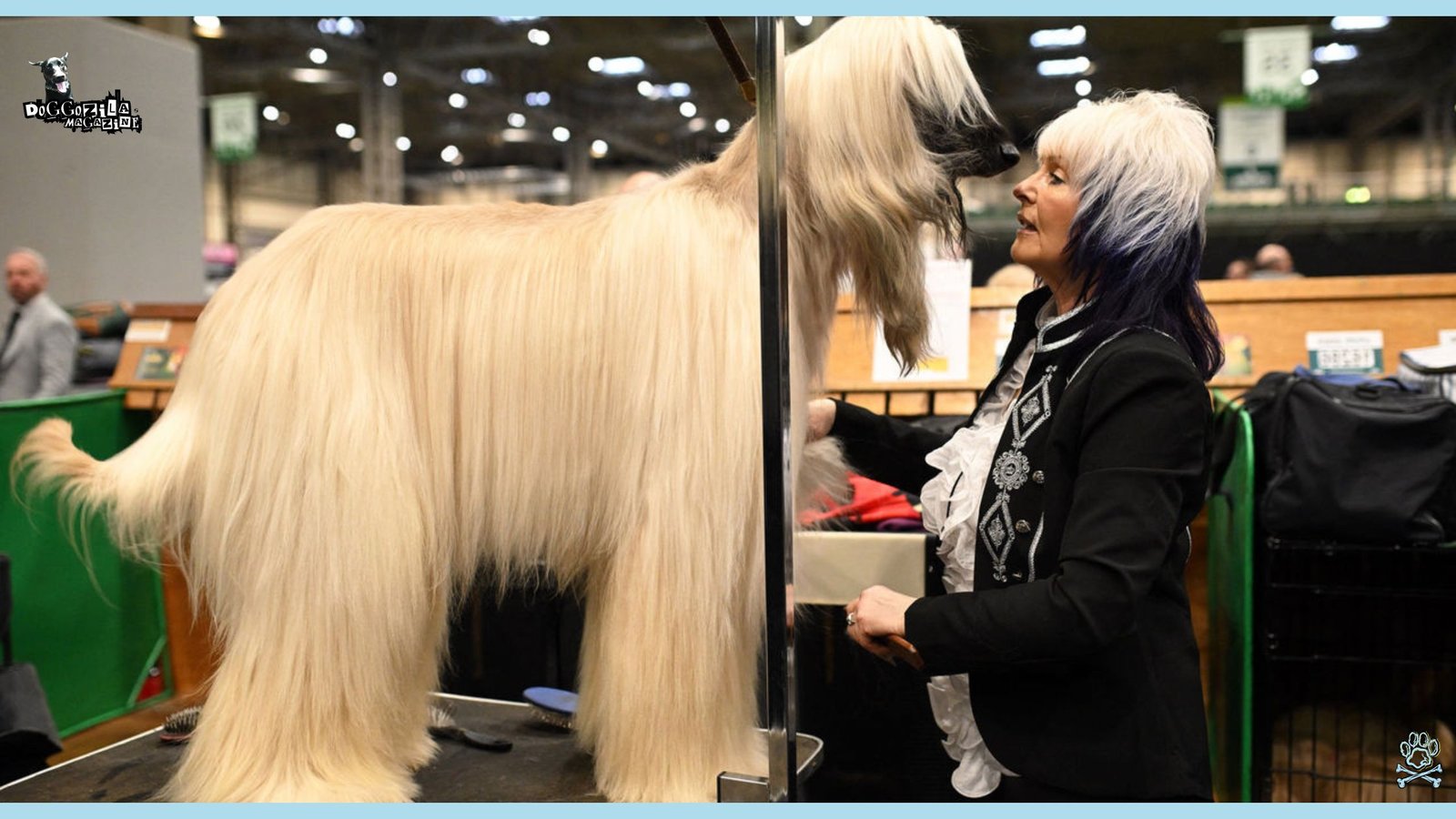 dog and her owner having the same hair style