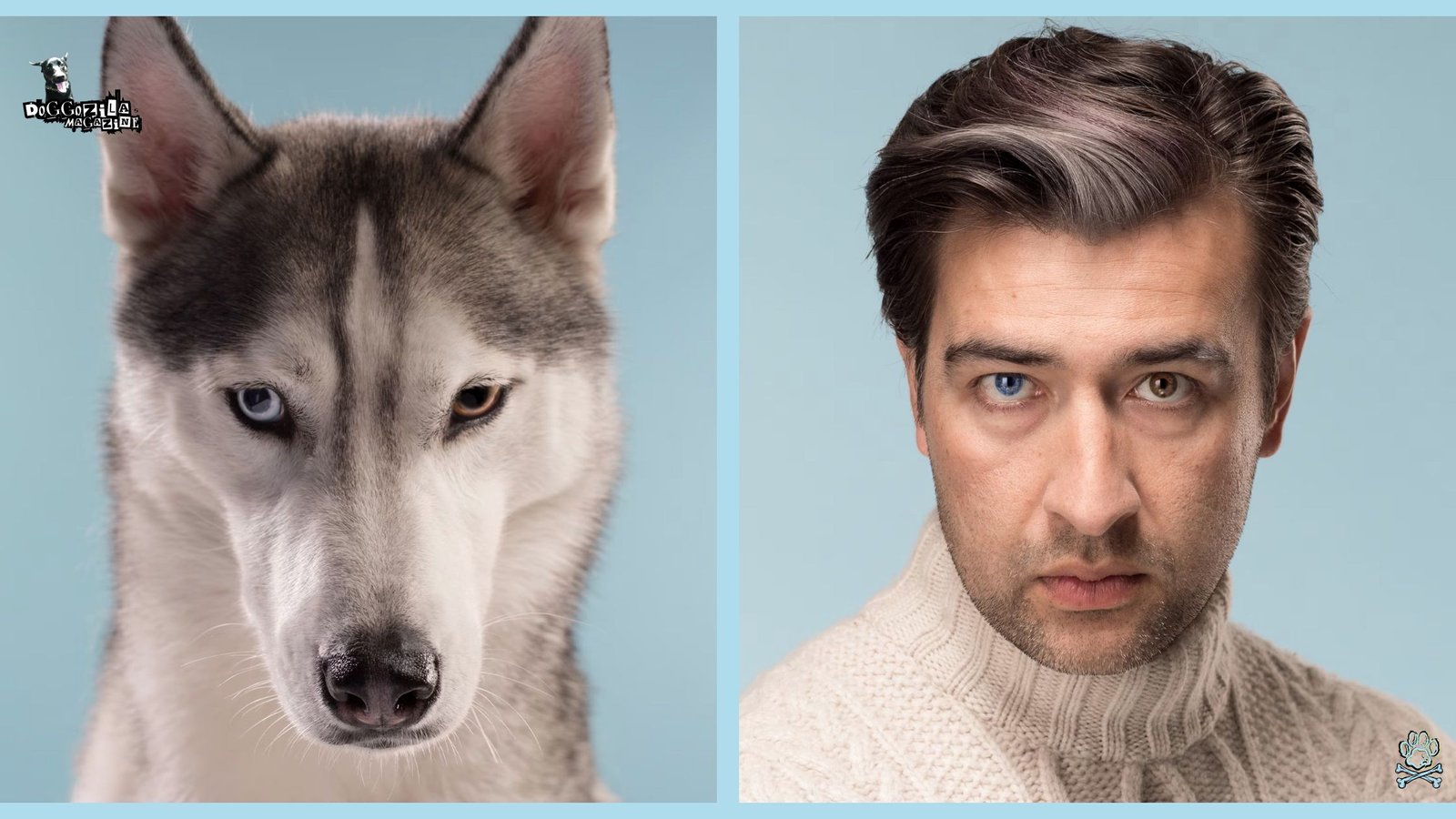 husky dog and his owner having same eyes, one blue and one brown