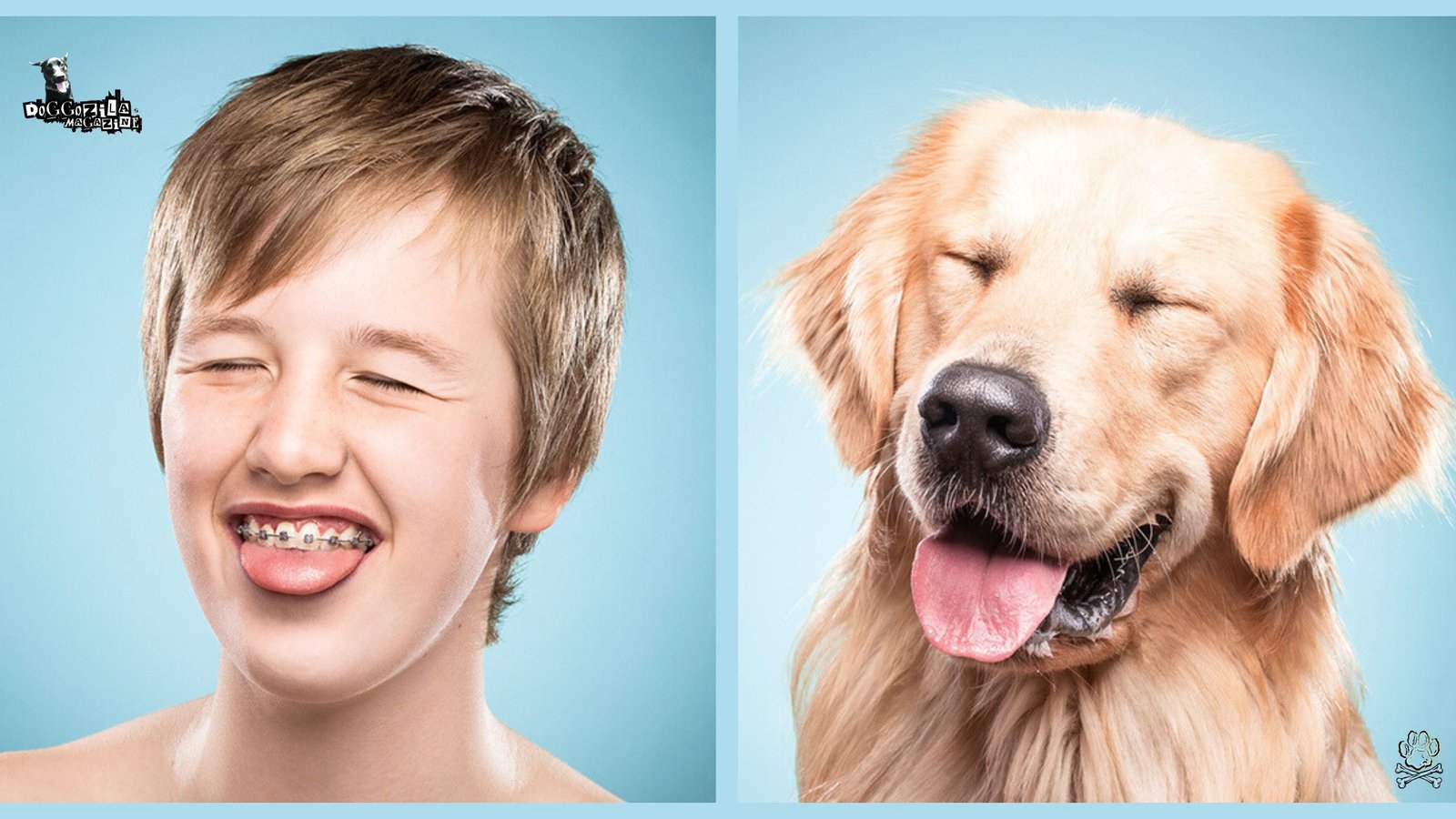 Scientific explanation Why Do Dogs Imitate Their Owners