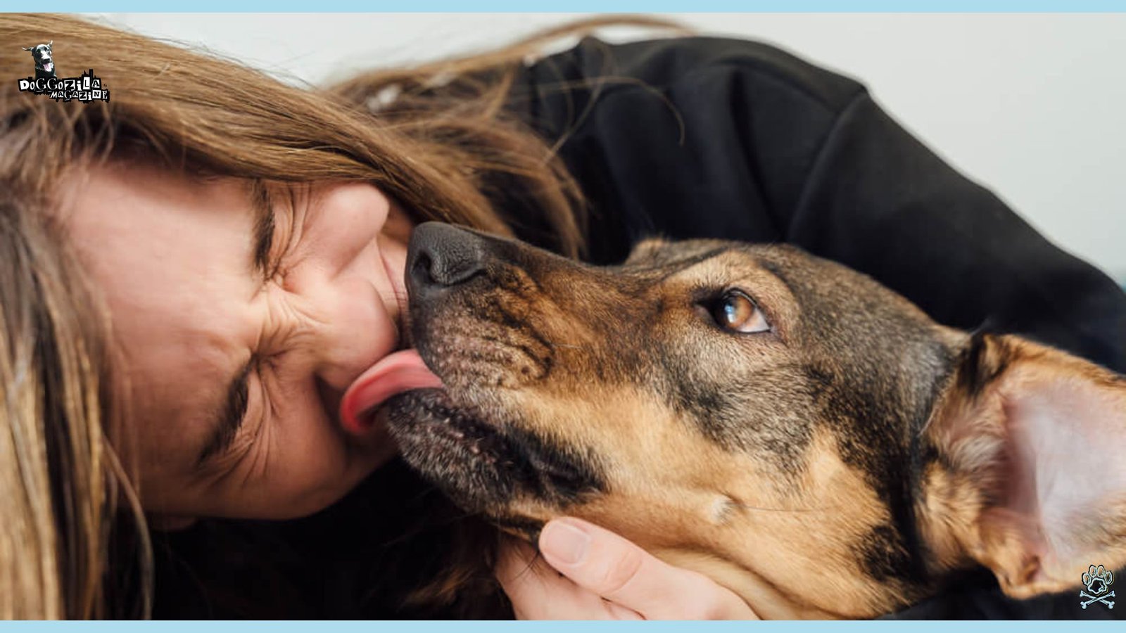 Have You Ever Wondered Why Do Dogs Lick You and other People