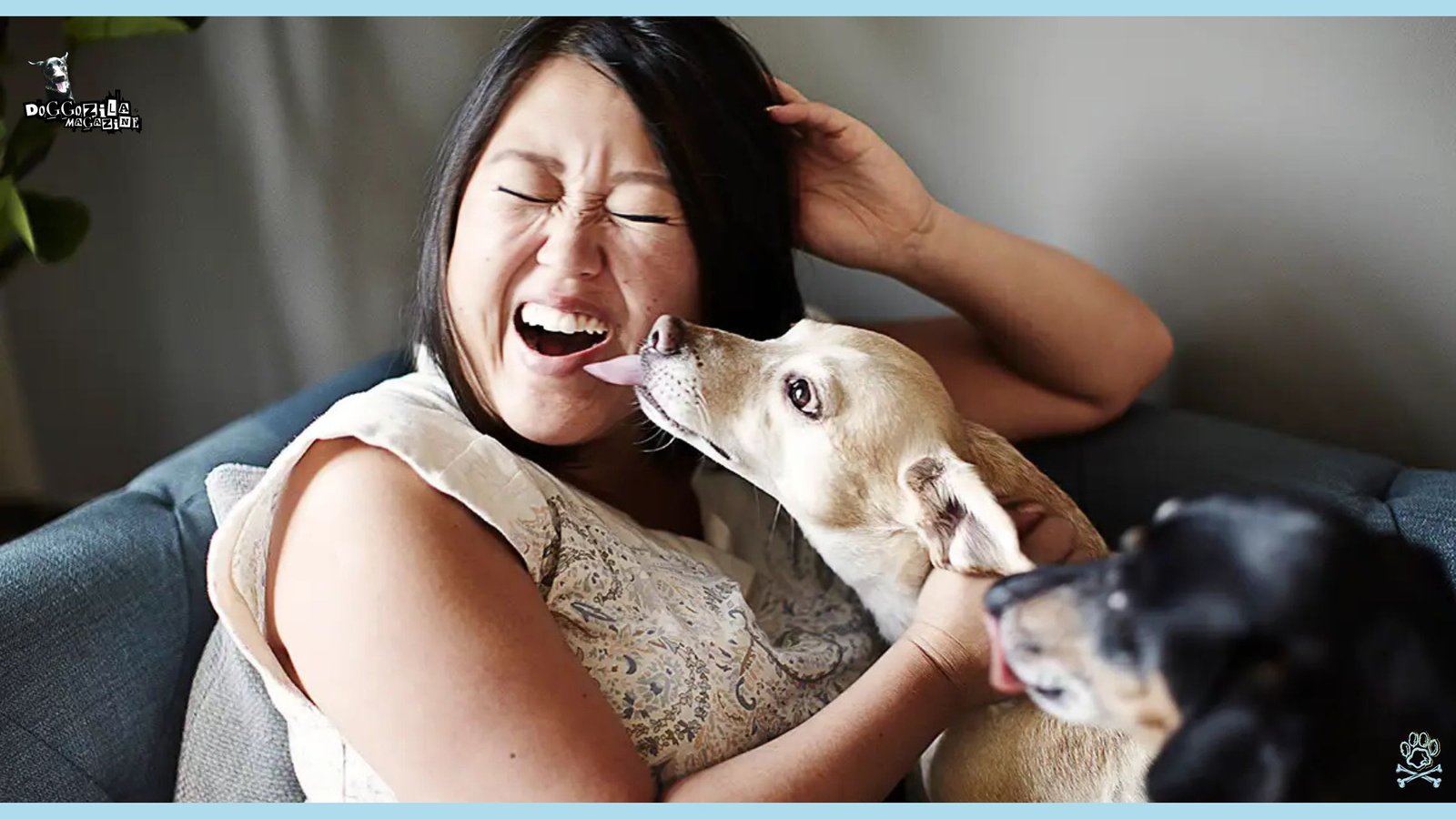 cute puppy is giving some love to the owner