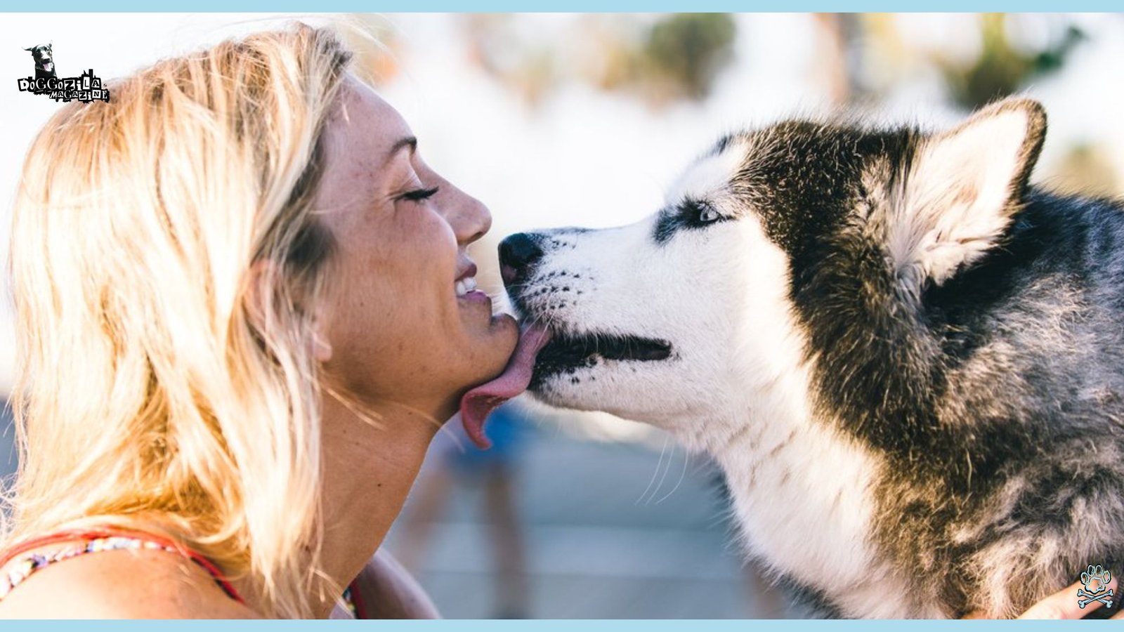 Did Know Why Do Dogs Lick You and other People
