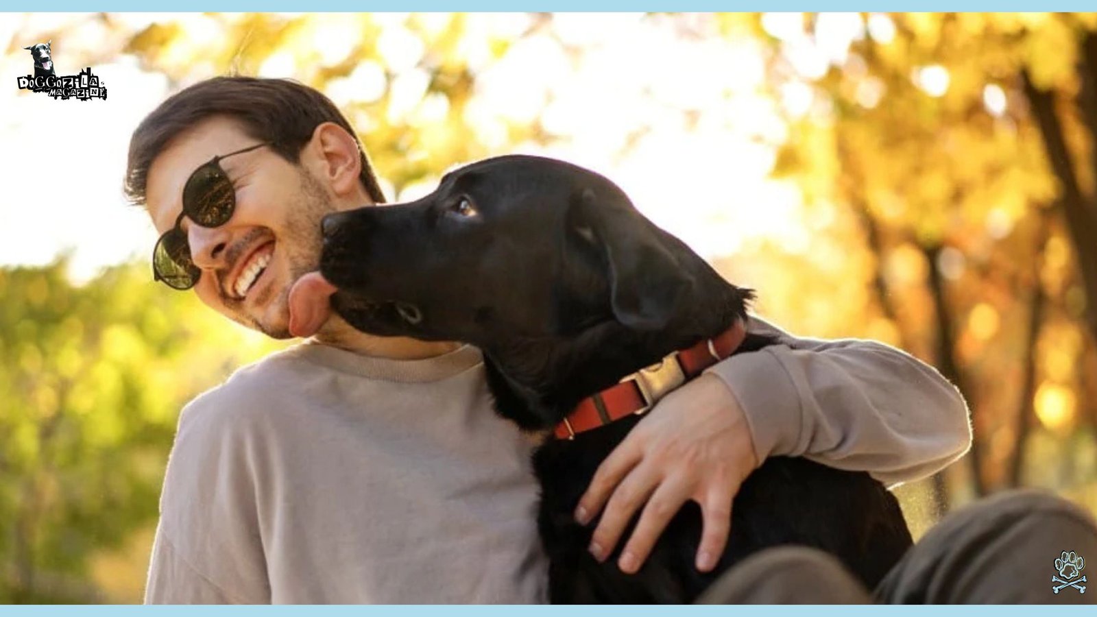 Did Know Why Do Dogs Lick You and other People