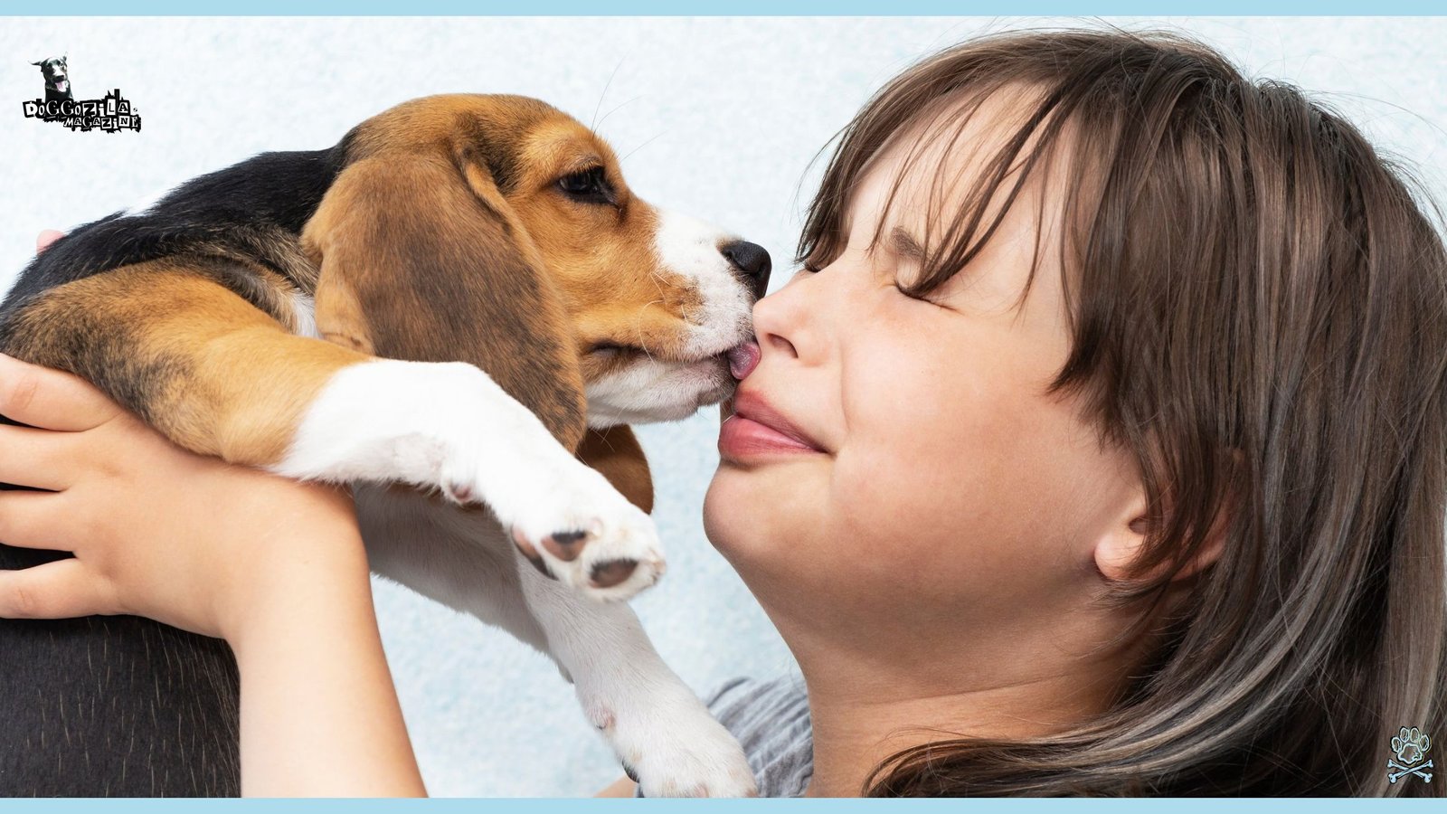 Have You Ever Wondered Why Do Dogs Lick You and other People