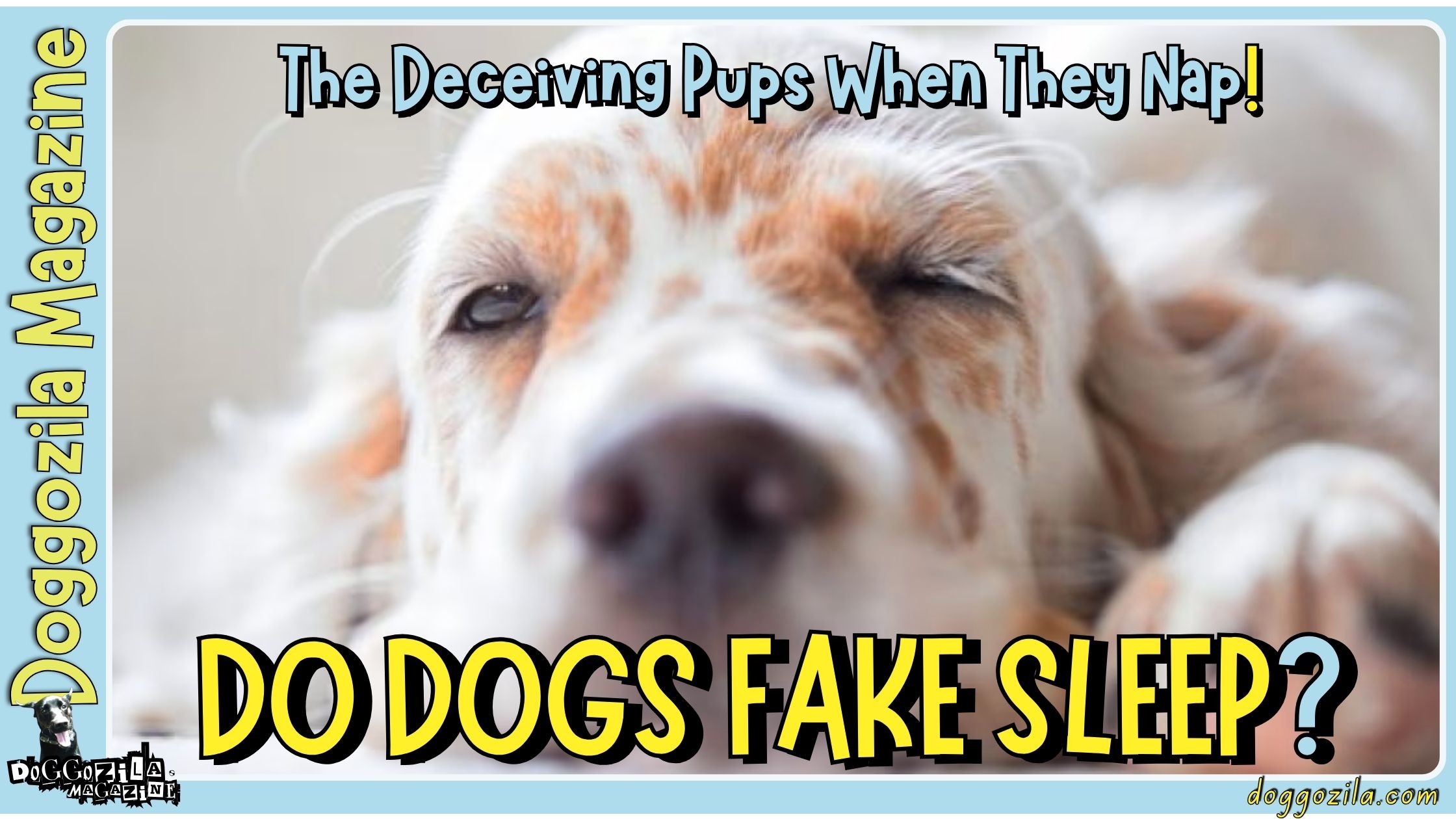 Why and How Do Dogs Can Fake Sleep