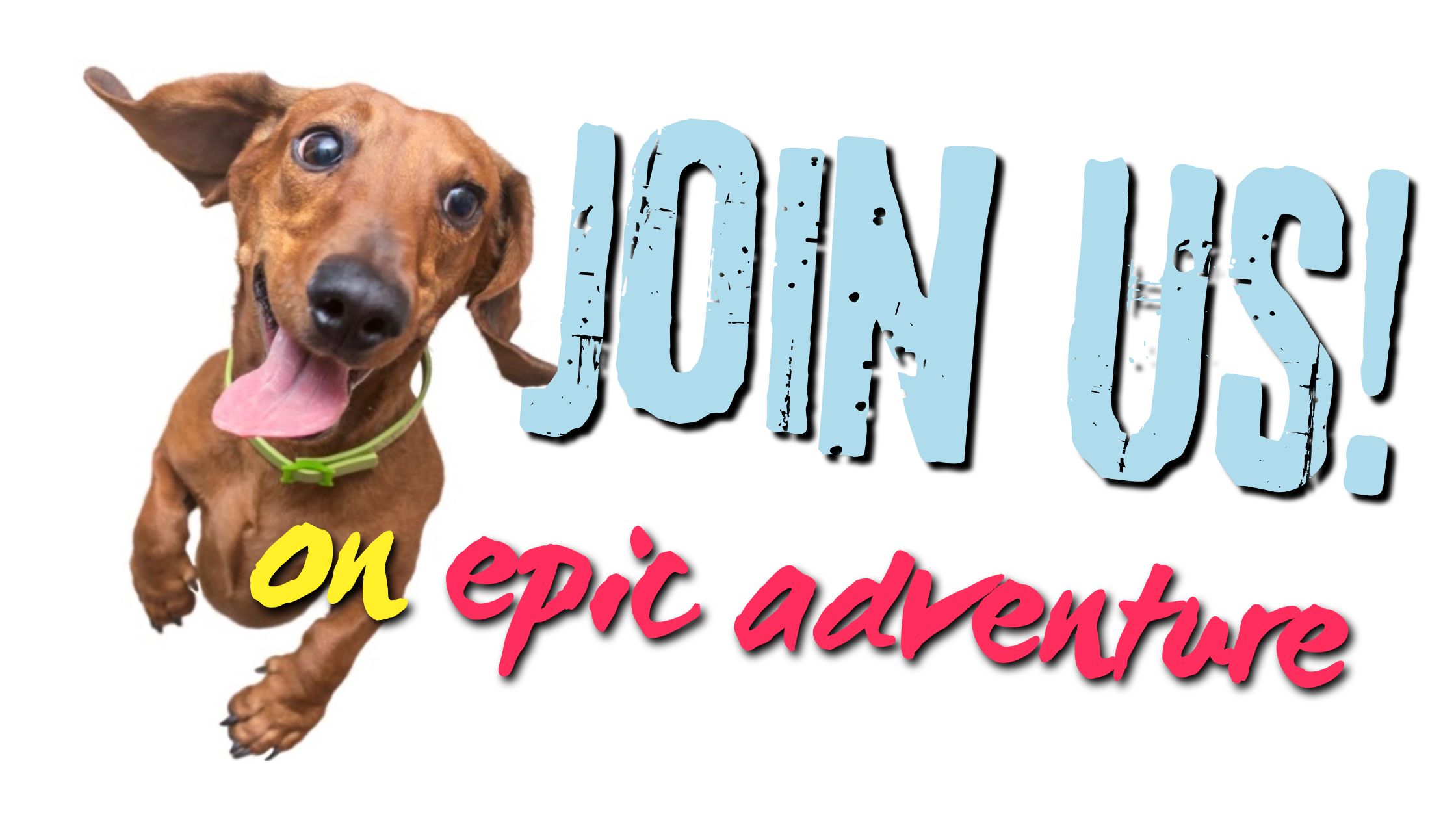 epic dog adventures and lifestyle magazine