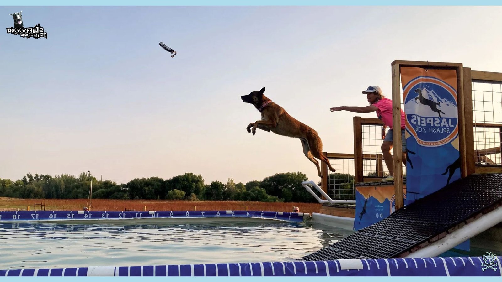 Dock Dog Diving Competition